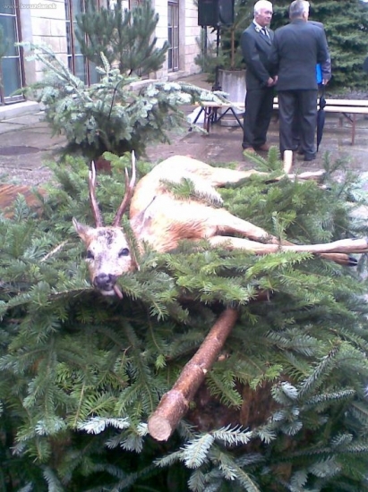 polovnicke dni Humenne 2007