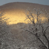pohľad z obývačky