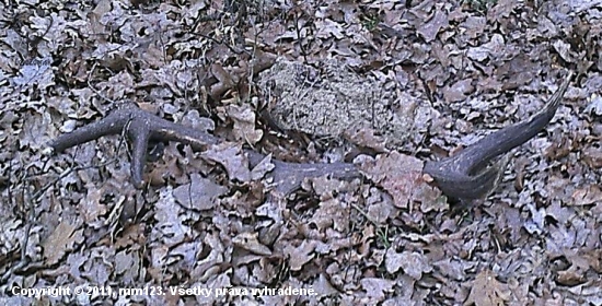 3kg 10torak