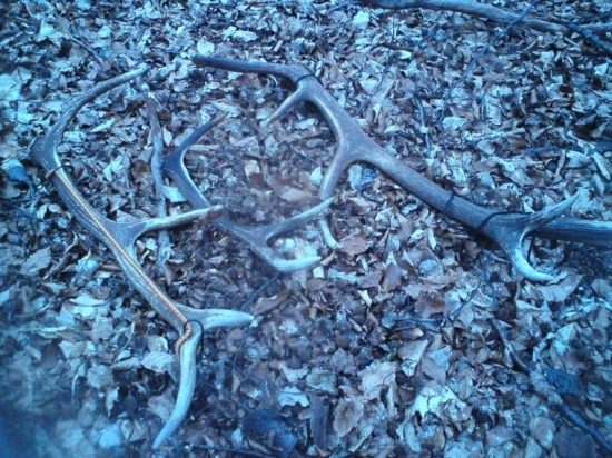 zatial,potom este dva