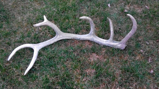 neskoro :-(  :-(  :-(