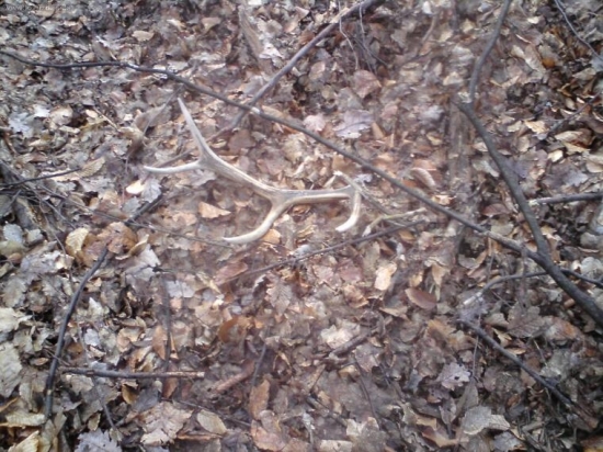 včerajší,ale starý