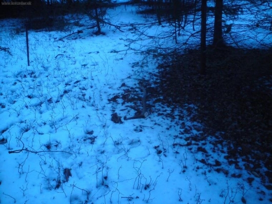 este nedotknuty clovekom