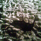 Môj prvý v roku 2009