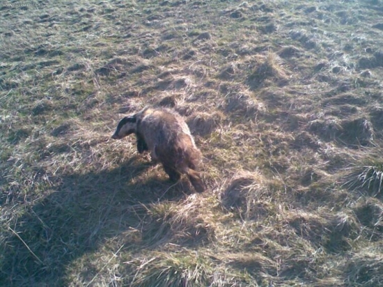 Prebudenie zo zimného spánku