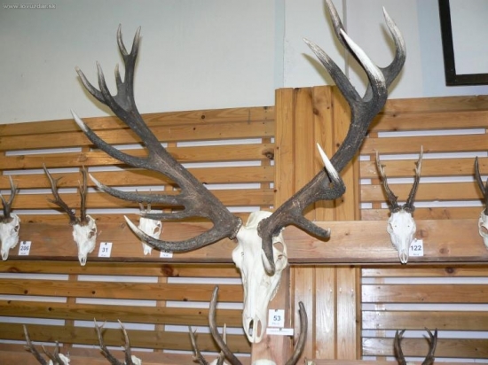 prehliadka trofeji Prešov