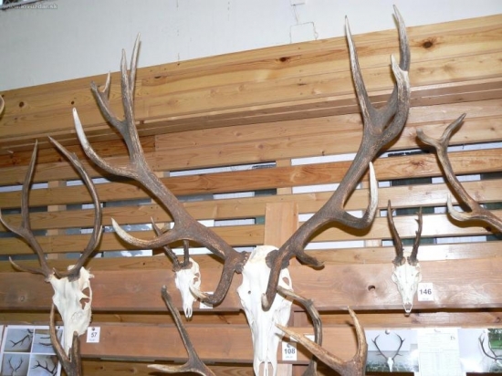 prehliadka trofeji Prešov