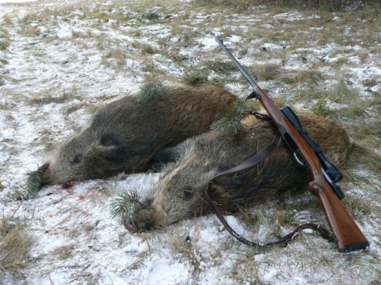 diviačiky na spoločnej