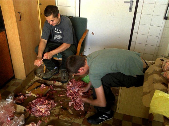 Zo života sokoliara