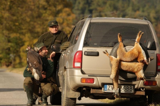 Spomienka na lov líšok orlami v Bijacovciach