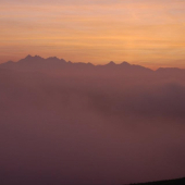 Tie rána  sú  naj :-)