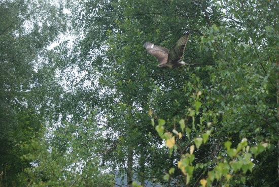 Prvý prílet :-)