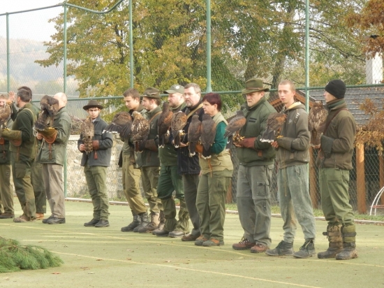 7. medzinárodné sokoliarske stretnutie Sečovce 8.-12.11. 2012