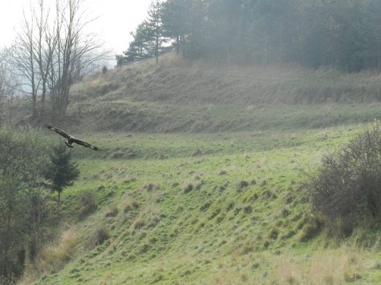 Prílet