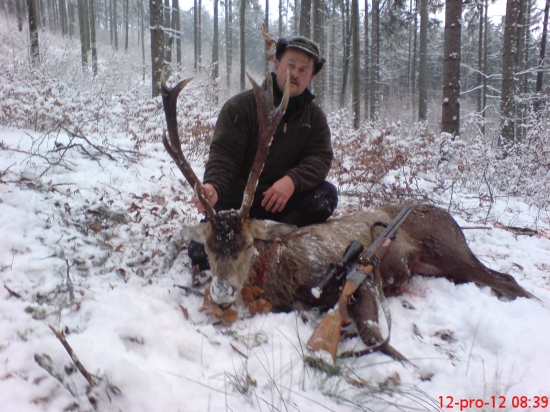 rarita - sanitární odstřel