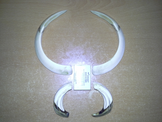 k ID250126