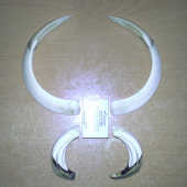 k ID250126
