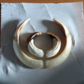 K ID306075