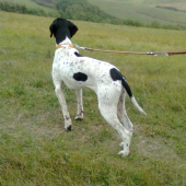 ballu