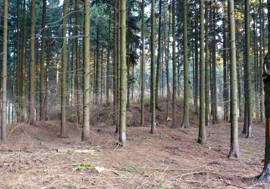 zřícenina hradu Chlum