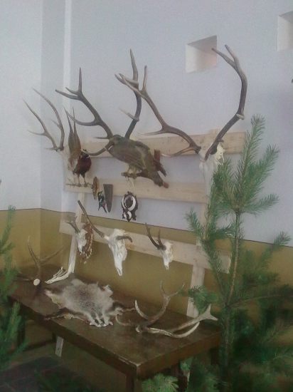 Poľovnícky deň PZ Lipová