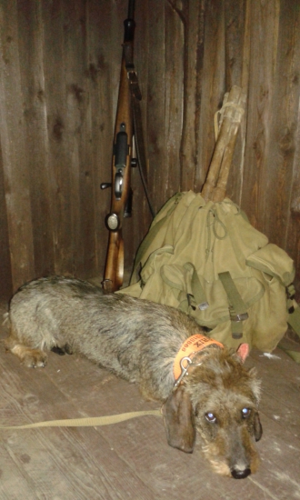 Večerná idylka na posede