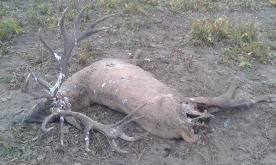 Dnešný kapitálny nález