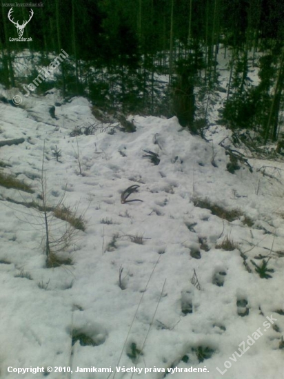 Spomienka