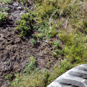 Z harvestora najdeny