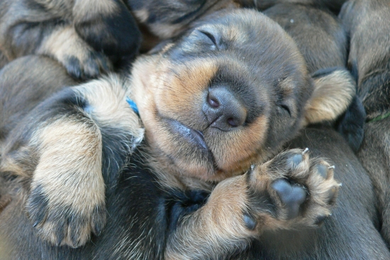 chlap s veľkým H :)