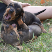 naše malé baby :)