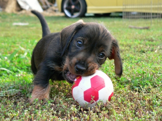 treba vedieť nielen pracovať, ale aj zabávať sa :)))