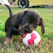 treba vedieť nielen pracovať, ale aj zabávať sa :)))