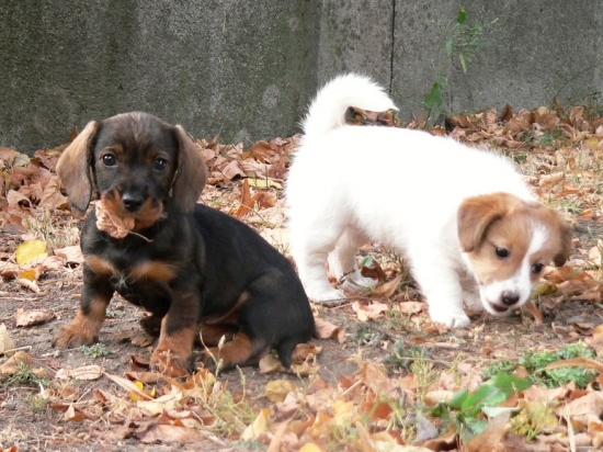 ako by ich jedna mater mala :))))