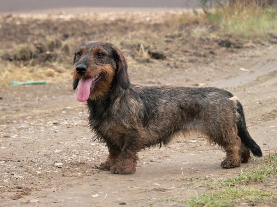 trochu sme sa boli prebehnúť :)