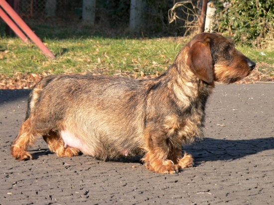 už aby to bolo za mnou :))) 58. deň