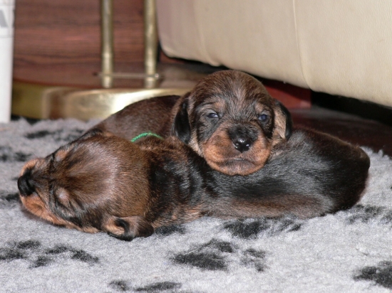 o chvíľu začneme robiť neplechu :)