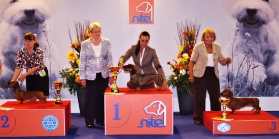 myslím, že sa celkom zadarilo :)