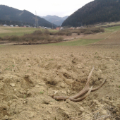 Moja malá velká radosť =)