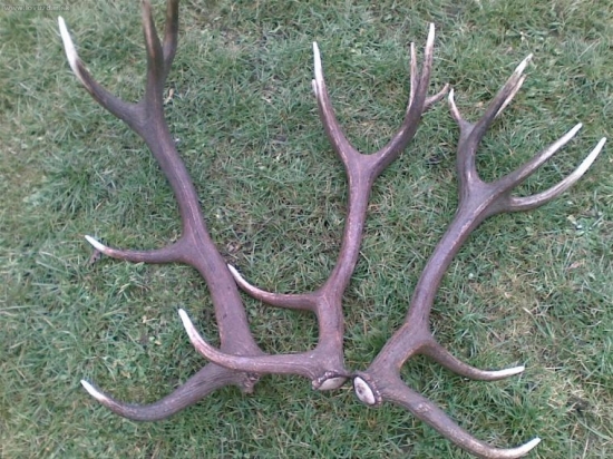 som nasiel pri sebe 14-torak a 12-torak