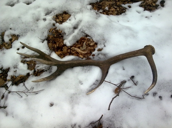 12torák, prvý tohto roku