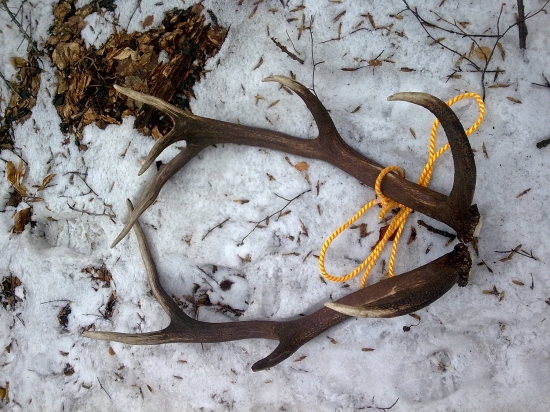 Nepravidelný 14torák