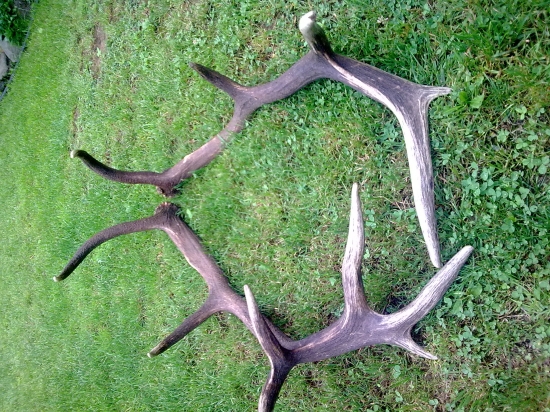 Pre neveriacich, k ID 126306