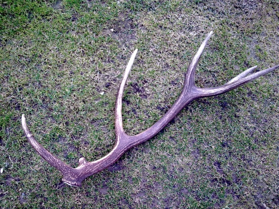 spomienky na rok 2011