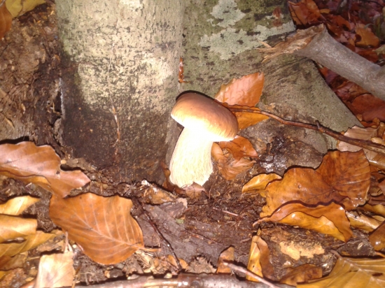 tam je mu trocha teplejšie