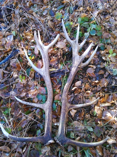 škoda že nie skôr...