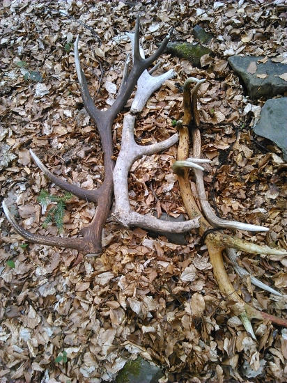 nový, starší, najstarší...