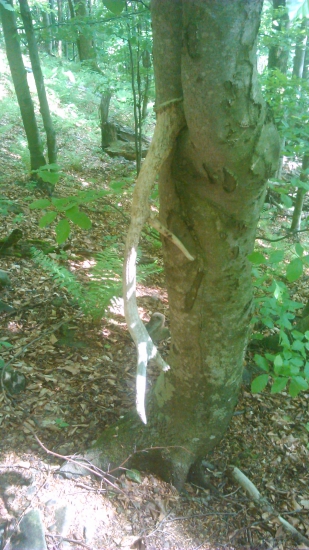 nedal sa vytiahnúť, tak som ho tam nechal