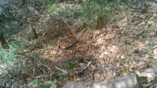 ďalší trojkiláčik