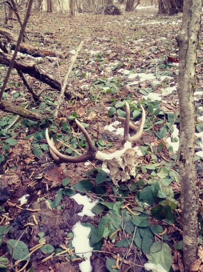 aspoň niečo ostalo